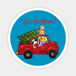 It's Christmas Cat Truck Magnet